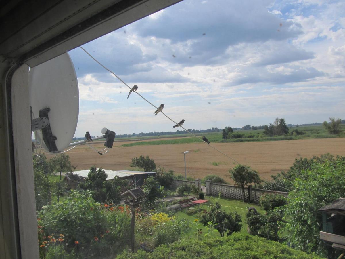 Zum Wiesengrund Im Oderbruch Altglietzen Exteriör bild