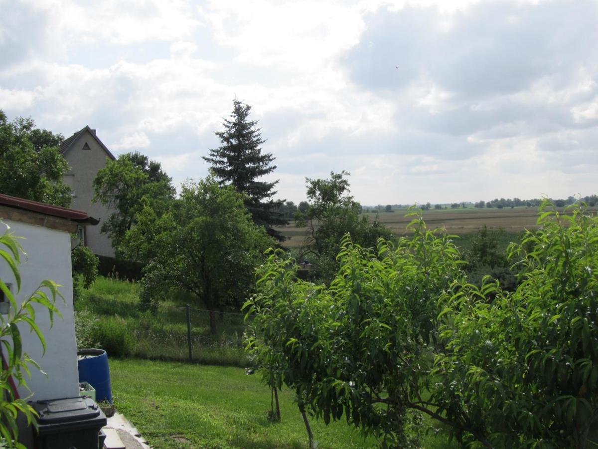 Zum Wiesengrund Im Oderbruch Altglietzen Exteriör bild