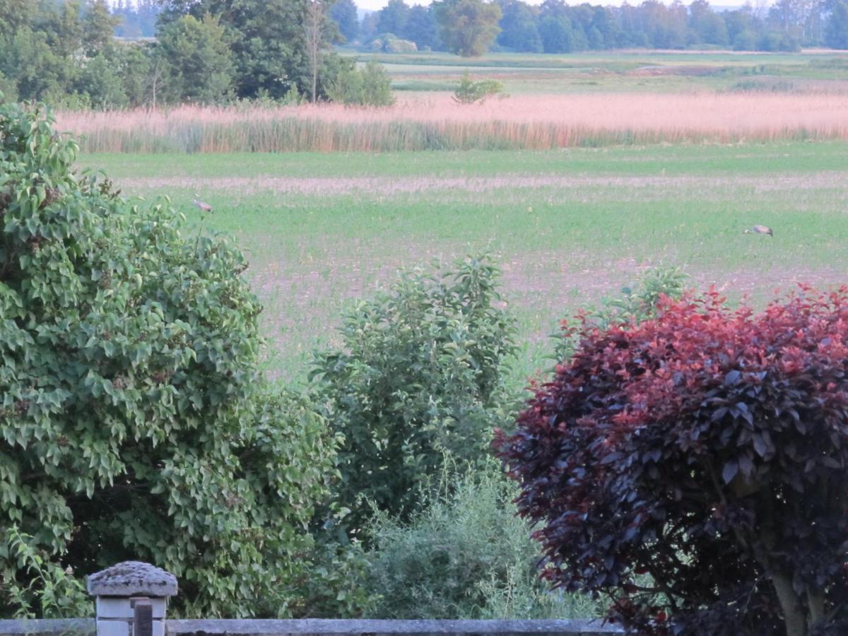 Zum Wiesengrund Im Oderbruch Altglietzen Exteriör bild