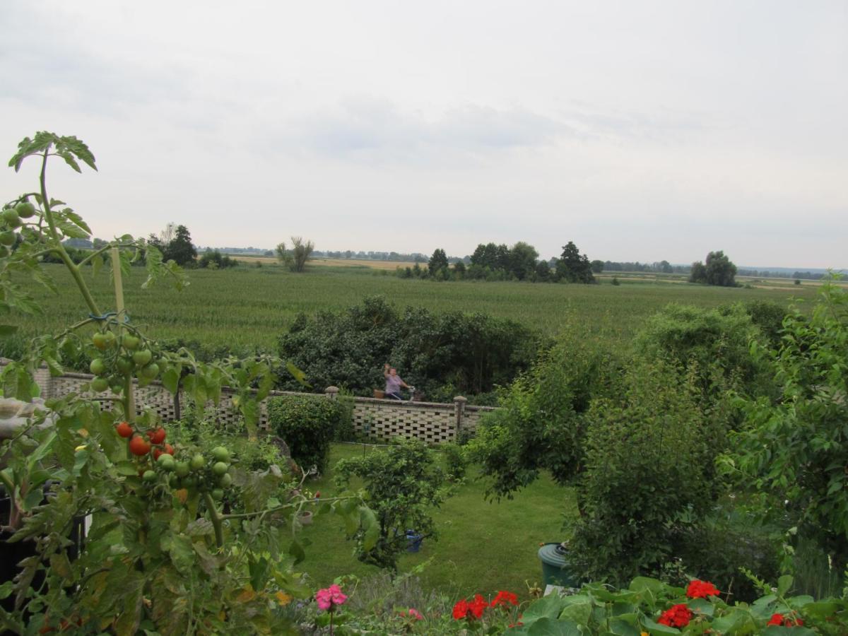 Zum Wiesengrund Im Oderbruch Altglietzen Exteriör bild