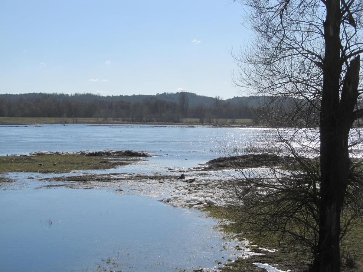 Zum Wiesengrund Im Oderbruch Altglietzen Exteriör bild